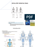 Clase. Biomecanica Osea