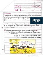 Metabolismo de Proteínas PDF