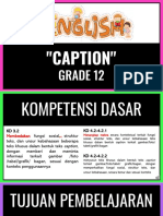 Captions Ok PDF