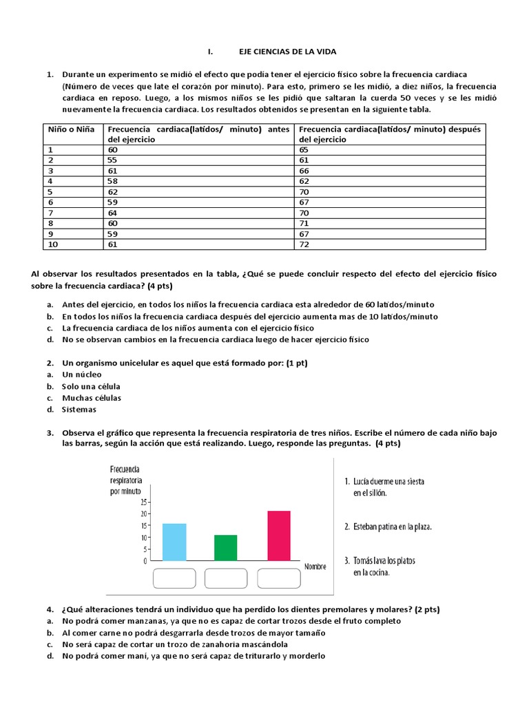 Prueba Aprendizajes Claves Ciencias Naturales Quinto Basico 2014 PDF Digestión