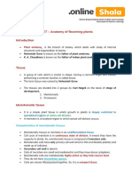 NEET Chapter - Anatomy of Flowering Plants