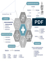 Estructura y Función Humana 1