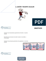 ADAPTACION LESION Y MUERTE CELULAR Patol PDF