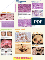 Praktikum Patologi Anatomi Blok Neuro Hehe Cemumut PDF