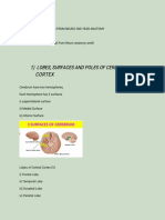 Neuro Anatomy Compiled by Ibad Khan PDF