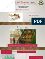 Extracción de Sacarosa