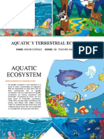 Aquatic Ecosystem Dylan Castillo 5D