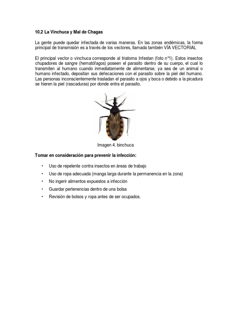 Prevención del Mal de Chagas | PDF
