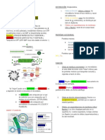 Citoesqueleto PDF