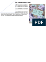 Punnet Square PDF