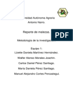 Reporte de Malezas PDF