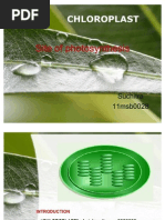 Download CHLOROPLASTPPT by Suchitra Sk SN63344245 doc pdf