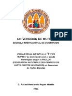 Rafael Hernando Reyes Marlés Tesis Doctoral Upea PDF