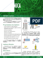 Lipídeos: Propriedades e Funções