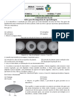 Ciências da Natureza: Atividades para Recomposição da Aprendizagem