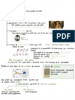 Neurociencia 