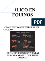 Cólico en Equinos