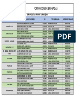 Conformacion de Brigadas PDF