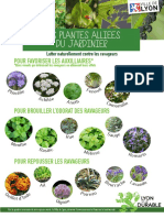Fiche Peda Plantes Alliees PDF