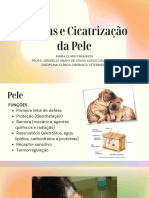 Feridas e Cicatrização Da Pele PDF