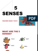 The Five Senses