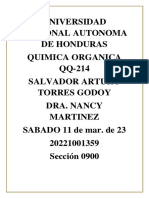 Guia Aldehidos y Cetonas, Salvador Arturo Torres PDF