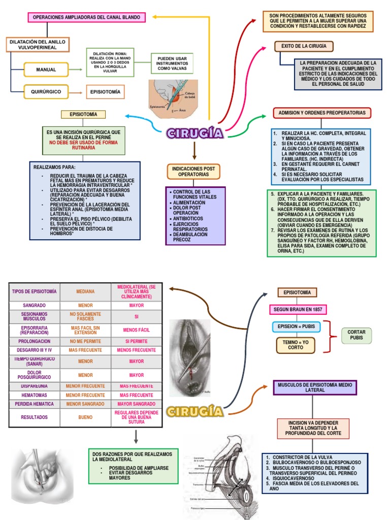 Brain Mapping de Cirugia | PDF | Ciencias de la Salud | Medicina