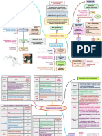 Brain Mapping Neonatologia