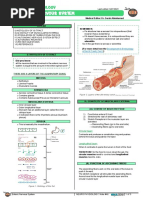 Enteric Nervous System