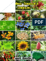 Botanical Name in Tamil A4 PDF