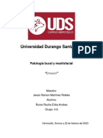 Ensayo e Investigación PDF