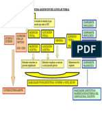 Esquema Adquisiciã"n Del Lenguaje Verbal