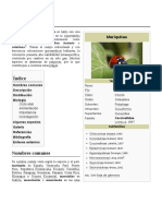 Coccinellidae PDF
