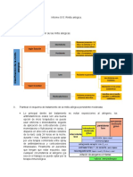 Informe S15