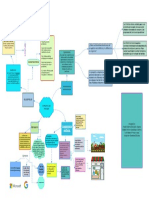 Mapa Mental - Microeconomia