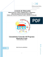 Lineamientos Generales Programa Matricula Gratis PDF