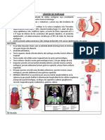 Cáncer de Esófago