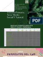 Análisis de Curriculo Nacional Base CNB PDF