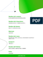 Castro Huayra Delcy-Pe-S1 PDF