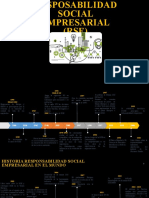 Línea de Tiempo RSE