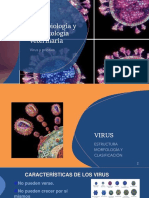 Morfologia y Replicación Viral PDF