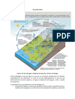 Ciclos Biogeoquímicos - Unidad I - Gestión Ambiental - Villanueva Cumplido