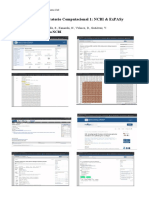 Informe Laboratorio Computacional - Astudillo, Kanaseki, Velasco&Gutiérrez