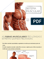 Sistema Muscular - Prof Douglas