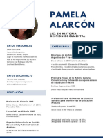 CV Pamela Alarcón