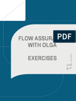 (2) FA with OLGA Exercises_20070522.pdf