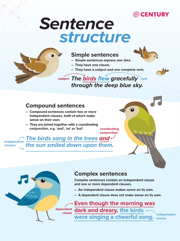 .Trashed 1667147460 CENTURY Sentence Structure A4 Poster PDF PDF