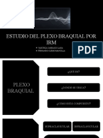 Seminario Plexo Braquial