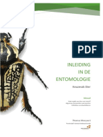 333 Insecten Algmeen LKR PDF