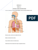 Tarea 2.1 Cardiorespiratorio